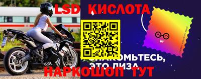 шишки Донской