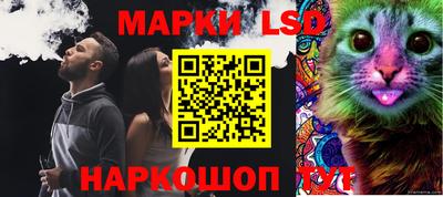 шишки Донской
