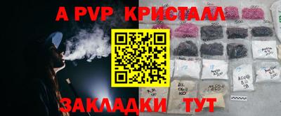 шишки Донской