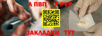 шишки Донской