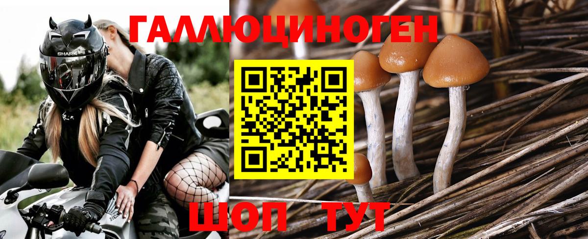 Псилоцибиновые грибы мицелий  Вход с VPN  Менделеевск 
