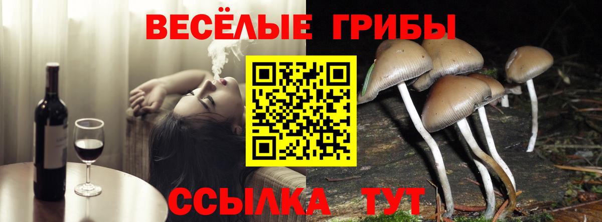 Псилоцибиновые грибы мухоморы Менделеевск